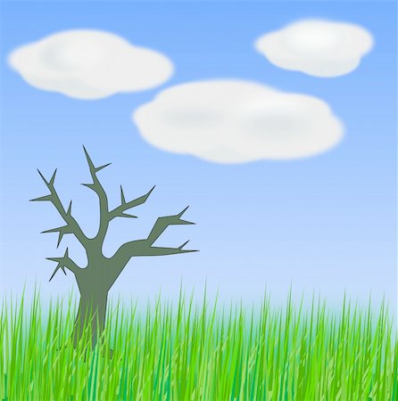 simsearch:400-08021518,k - A bare tree that stands alone on    a meadow. Stock Photo - Budget Royalty-Free & Subscription, Code: 400-05947502