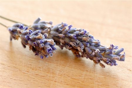 dry lavender flowers closeup over blur brown background Stock Photo - Budget Royalty-Free & Subscription, Code: 400-05947571