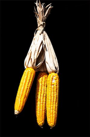 Dried corn Photographie de stock - Aubaine LD & Abonnement, Code: 400-06059872