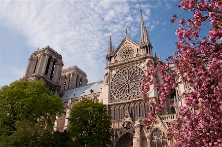 Beautiful view of the Notre Dame with blossoms in spring Stock Photo - Budget Royalty-Free & Subscription, Code: 400-06059904