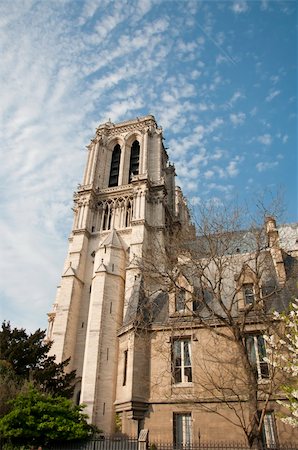 simsearch:400-04361722,k - Notre Dame cathedral in Paris in spring Stock Photo - Budget Royalty-Free & Subscription, Code: 400-06059906