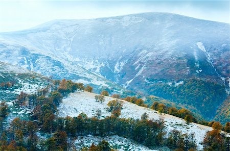 simsearch:400-05719597,k - October Carpathian mountain Borghava plateau with first winter snow and autumn colorful trees Stock Photo - Budget Royalty-Free & Subscription, Code: 400-06064000