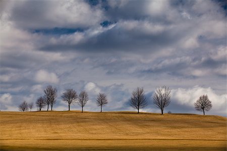 simsearch:400-05712992,k - The small trees on golf course in autumn Photographie de stock - Aubaine LD & Abonnement, Code: 400-06064730