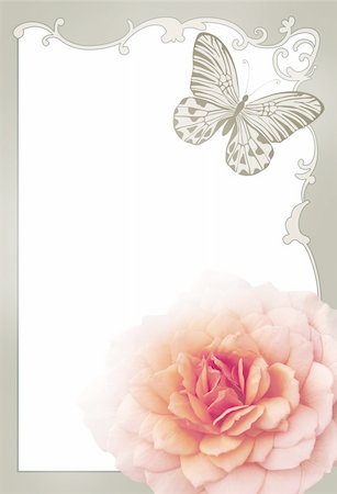 flower border design of rose - invitation card with vintage frame rose and  butterfly Stock Photo - Budget Royalty-Free & Subscription, Code: 400-06064754