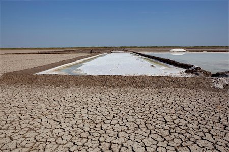 production line food - working salt pans on the little rann of kutch in gujarat india under a blue sky Stock Photo - Budget Royalty-Free & Subscription, Code: 400-06064764