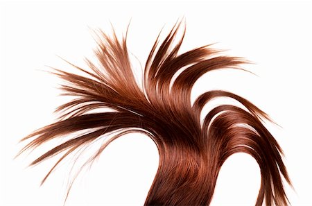 salon background - human brown hair on white isolated background Stock Photo - Budget Royalty-Free & Subscription, Code: 400-06064929