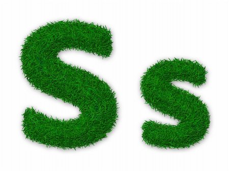 simsearch:400-06062275,k - Illustration of capital and lowercase letter S made of grass Stockbilder - Microstock & Abonnement, Bildnummer: 400-06064983