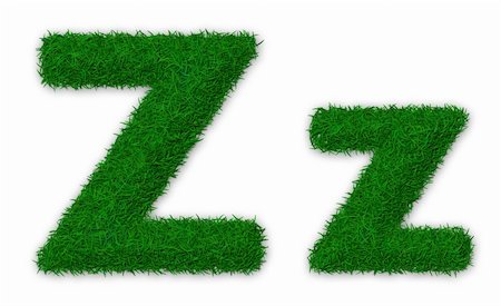 simsearch:400-06062275,k - Illustration of capital and lowercase letter Z made of grass Stockbilder - Microstock & Abonnement, Bildnummer: 400-06064990