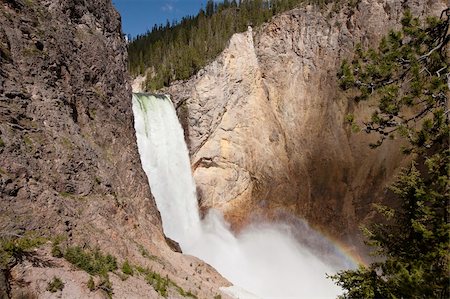 Lower Yellowstone Falls is one of the larger natural waterfalls in the country. Enough spray is created from the cascading water to generate a rainbow as seen in the lower right of the frame. Foto de stock - Super Valor sin royalties y Suscripción, Código: 400-06065203