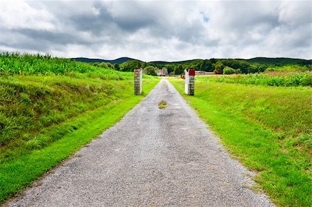 simsearch:400-06521455,k - Asphalt Road  Leading to the Farm Between Corn Fields Fotografie stock - Microstock e Abbonamento, Codice: 400-06065363