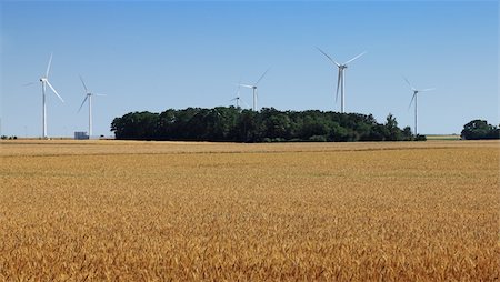 simsearch:400-03912255,k - Wind turbines in a wheat field in the central region of France. Stock Photo - Budget Royalty-Free & Subscription, Code: 400-06065593