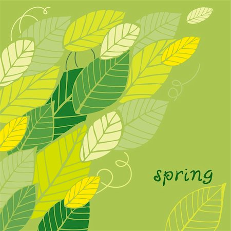 elegant white flower sillouette - Vector illustration of spring green leafs with text Stock Photo - Budget Royalty-Free & Subscription, Code: 400-06066239