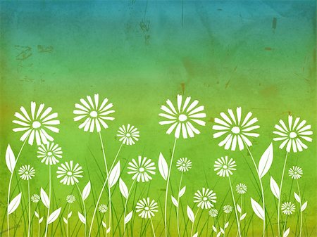 spring flowers white daisy over green old paper background Stockbilder - Microstock & Abonnement, Bildnummer: 400-06066444