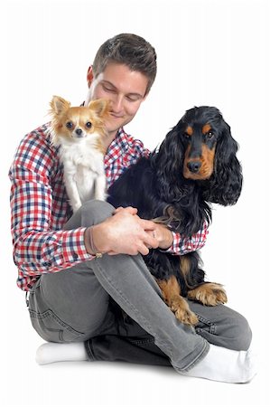 simsearch:400-07318607,k - portrait of a  purebred english cocker, chihuahua and man in a studio Stock Photo - Budget Royalty-Free & Subscription, Code: 400-06066474