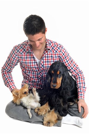 simsearch:400-06333760,k - portrait of a  purebred english cocker, chihuahua and man in a studio Photographie de stock - Aubaine LD & Abonnement, Code: 400-06066475