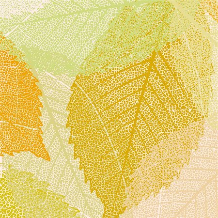 Light autumn leaves pattern. EPS 8 vector file included Stock Photo - Budget Royalty-Free & Subscription, Code: 400-06066538