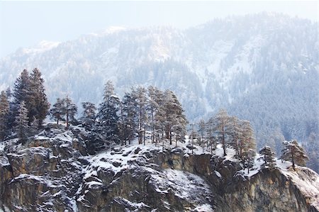 simsearch:400-04765849,k - trees in snow on mountains Foto de stock - Royalty-Free Super Valor e Assinatura, Número: 400-06067665