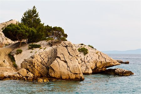 simsearch:400-04920010,k - Pine Tree on the Rocky Beach in Brela, Croatia Fotografie stock - Microstock e Abbonamento, Codice: 400-06067896