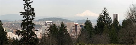 Portland Oregon Downtown Cityscape Amongst the Trees with Mount Hood Panorama Fotografie stock - Microstock e Abbonamento, Codice: 400-06068303