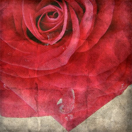 Red rose on the old  paper Stockbilder - Microstock & Abonnement, Bildnummer: 400-06068574