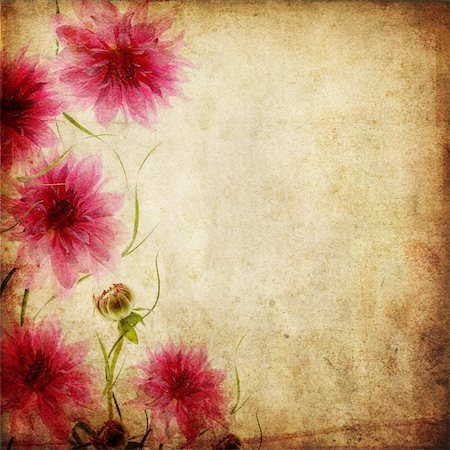 simsearch:400-06068658,k - Old papers background with pink flowers Stock Photo - Budget Royalty-Free & Subscription, Code: 400-06068571