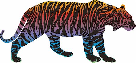 Tiger with rainbow smokescreen camouflage Stock Photo - Budget Royalty-Free & Subscription, Code: 400-06068820