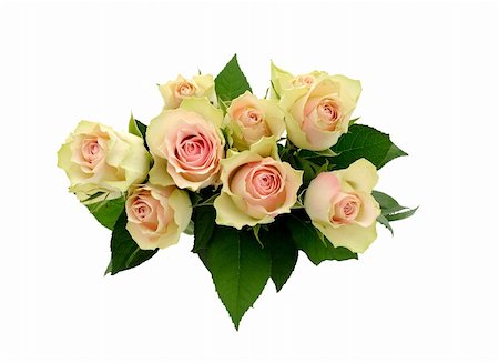 simsearch:400-04527694,k - Bouquet with a white background Photographie de stock - Aubaine LD & Abonnement, Code: 400-06069450