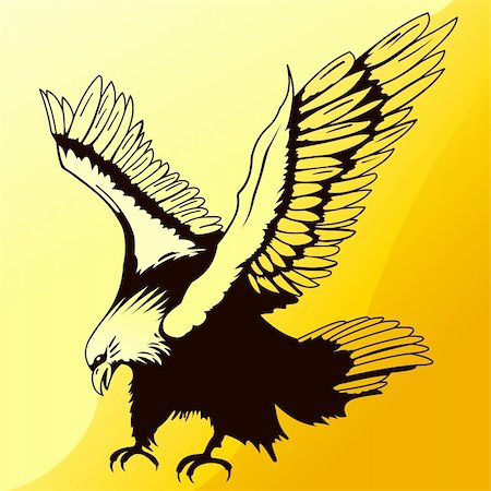 Illustration of Majestic Eagle while landing on orange background Stock Photo - Budget Royalty-Free & Subscription, Code: 400-06069473