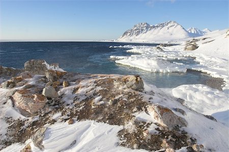 simsearch:400-05361285,k - Typical Arctic landscape - Spitsbergen, Svalbard Photographie de stock - Aubaine LD & Abonnement, Code: 400-06060495