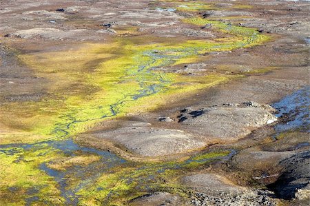 Arctic summer landscape - green tundra Photographie de stock - Aubaine LD & Abonnement, Code: 400-06060491