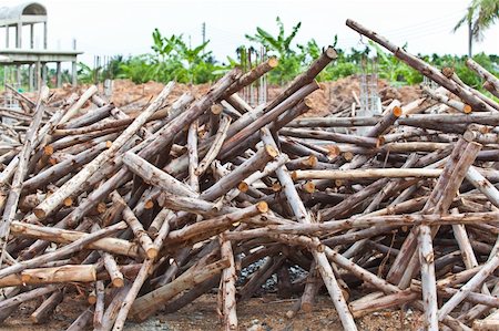 Pile of eucalyptus tree wood for construction Stock Photo - Budget Royalty-Free & Subscription, Code: 400-06060527