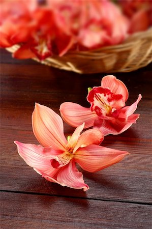 The pink orchids on wooden table Foto de stock - Royalty-Free Super Valor e Assinatura, Número: 400-06060540