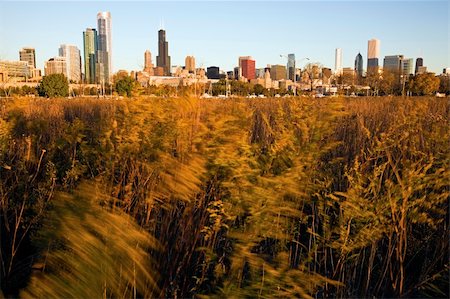 Chicago from Northerly Island with prairie in the foreground Photographie de stock - Aubaine LD & Abonnement, Code: 400-06060750