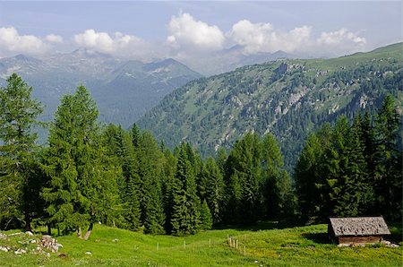 simsearch:400-06062187,k - A wooden log house in the forest in the Dolomites, Alps, Italy Foto de stock - Super Valor sin royalties y Suscripción, Código: 400-06062186