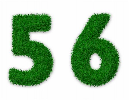 simsearch:400-06062404,k - Illustration of numbers 5 and 6 made of grass Foto de stock - Super Valor sin royalties y Suscripción, Código: 400-06062263