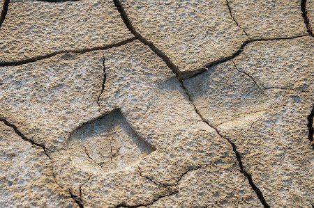 Man's shoeprint on dried cracked earth Stock Photo - Budget Royalty-Free & Subscription, Code: 400-06062286