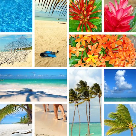 simsearch:400-05676017,k - Tropical collage. Exotic travel. Caribbean sea Dominican Republic Island Saona Foto de stock - Super Valor sin royalties y Suscripción, Código: 400-06062341