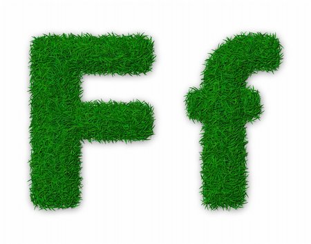 simsearch:400-06062275,k - Illustration of capital and lowercase letter F made of grass Stockbilder - Microstock & Abonnement, Bildnummer: 400-06062405