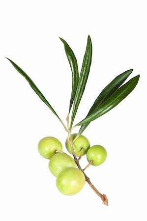 eating olive - The branch of fresh olives on a white background Stock Photo - Budget Royalty-Free & Subscription, Code: 400-06062720