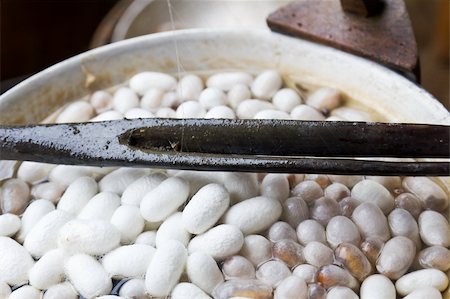 Boiling cocoon in a pot to prepare a cocoon silk. Stock Photo - Budget Royalty-Free & Subscription, Code: 400-06063157