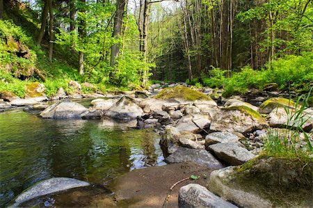 simsearch:400-06128436,k - small wild river in Bohemian forest on Vysocina Stock Photo - Budget Royalty-Free & Subscription, Code: 400-06063509