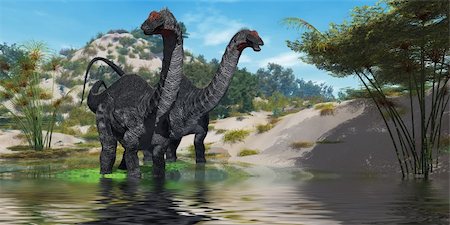 simsearch:400-07039388,k - Two Apatasaurus dinosaur wade through a lush pond looking for plants to eat. Stockbilder - Microstock & Abonnement, Bildnummer: 400-06063712