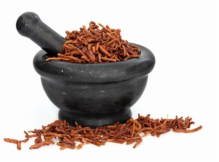 simsearch:400-07174356,k - Senega root herb used in traditional chinese herbal medicine in a black granite mortar with pestle over white background.  Yuan zhi Stock Photo - Budget Royalty-Free & Subscription, Code: 400-06063773