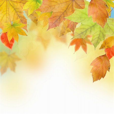 Autumn Leaves Fotografie stock - Microstock e Abbonamento, Codice: 400-06063910