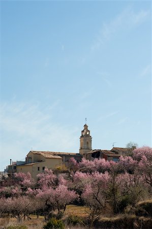 simsearch:400-06083036,k - Secnic Spanish mountain village during almond tree blossom season Stock Photo - Budget Royalty-Free & Subscription, Code: 400-06074130