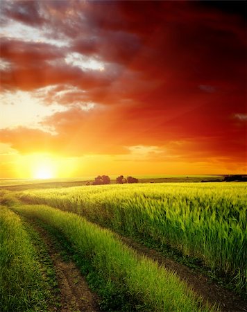 sunrise harvest - red sunset over rural road near green field Stock Photo - Budget Royalty-Free & Subscription, Code: 400-06074331