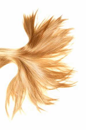 salon background - human blonde hair on white isolated background Stock Photo - Budget Royalty-Free & Subscription, Code: 400-06074616