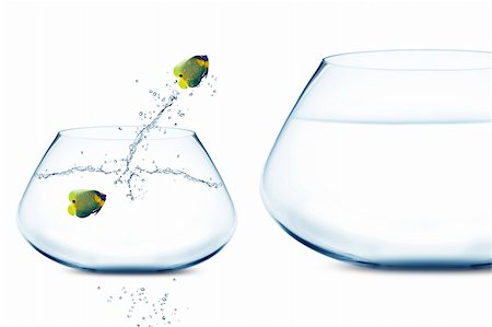 simsearch:400-06080242,k - Anglefish in small fishbowl watching goldfish jump into large fishbowl Stock Photo - Budget Royalty-Free & Subscription, Code: 400-06074625