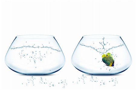 simsearch:400-06080242,k - Anglefish jumping to Big bowl, Good Concept for new life, Big Opprtunity, Ambition and challenge concept. Foto de stock - Super Valor sin royalties y Suscripción, Código: 400-06074628