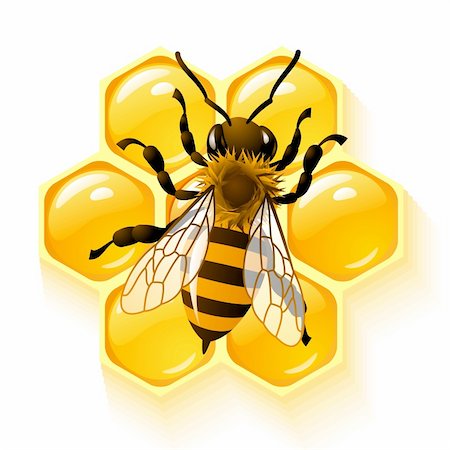 denis13 (artist) - Vector bee and honeycombs Stock Photo - Budget Royalty-Free & Subscription, Code: 400-06075138